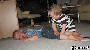 Miniature af billede nummer 1331