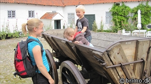 Miniature af billede nummer 1339