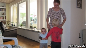 Miniature af billede nummer 1343