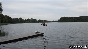 Miniature af billede nummer 1352