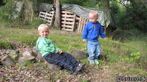 Miniature af billede nummer 1354