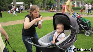 Miniature af billede nummer 1368