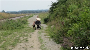 Miniature af billede nummer 1370