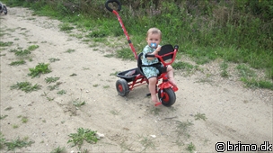 Miniature af billede nummer 1371