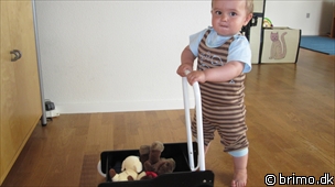 Miniature af billede nummer 1379