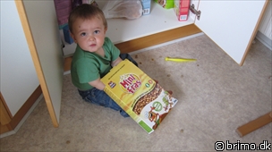 Miniature af billede nummer 1380