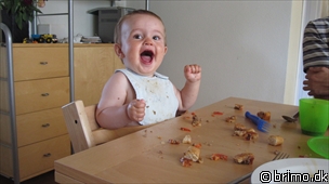 Miniature af billede nummer 1381