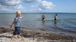 Miniature af billede nummer 1385