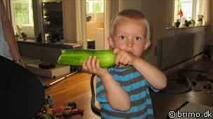 Miniature af billede nummer 1387