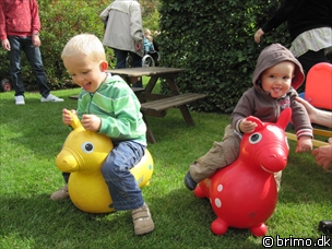 Miniature af billede nummer 1396