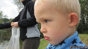 Miniature af billede nummer 1401