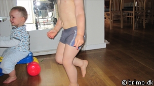 Miniature af billede nummer 1410