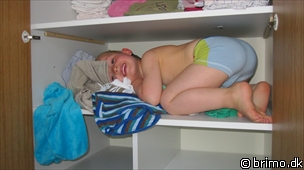 Miniature af billede nummer 1413