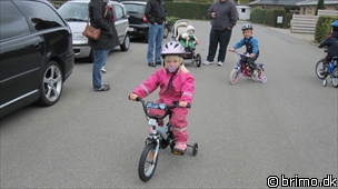 Miniature af billede nummer 1416