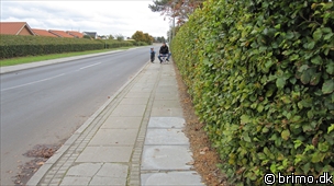 Miniature af billede nummer 1421