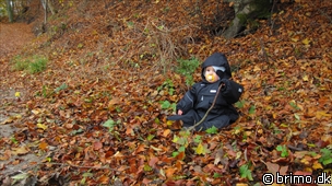 Miniature af billede nummer 1438