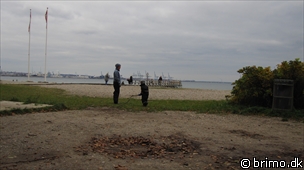 Miniature af billede nummer 1439