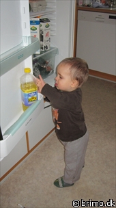 Miniature af billede nummer 1442