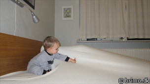 Miniature af billede nummer 1447