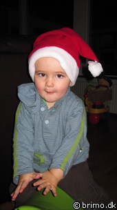 Miniature af billede nummer 1451