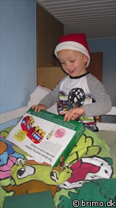 Miniature af billede nummer 1452