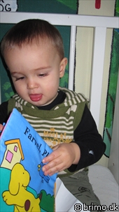 Miniature af billede nummer 1453