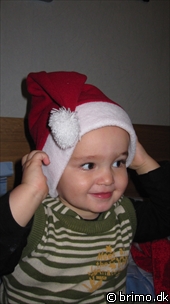 Miniature af billede nummer 1454