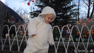 Miniature af billede nummer 1456