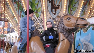 Miniature af billede nummer 1458