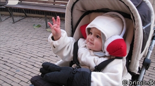 Miniature af billede nummer 1459