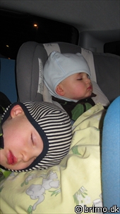 Miniature af billede nummer 1460