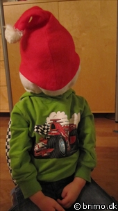 Miniature af billede nummer 1462