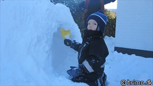 Miniature af billede nummer 1471