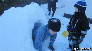 Miniature af billede nummer 1472