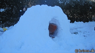 Miniature af billede nummer 1473