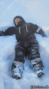 Miniature af billede nummer 1474