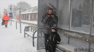 Miniature af billede nummer 1476