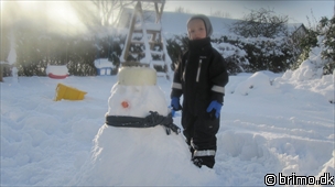 Miniature af billede nummer 1481