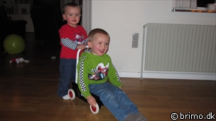 Miniature af billede nummer 1502