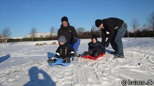 Miniature af billede nummer 1503