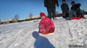 Miniature af billede nummer 1504