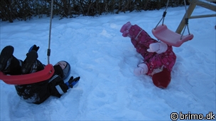 Miniature af billede nummer 1507