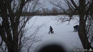 Miniature af billede nummer 1514