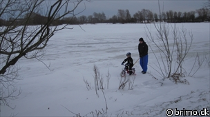 Miniature af billede nummer 1515