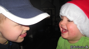 Miniature af billede nummer 1516