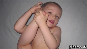 Miniature af billede nummer 1519