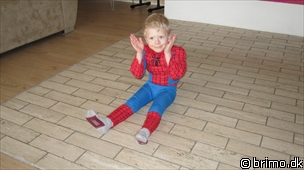 Miniature af billede nummer 1522