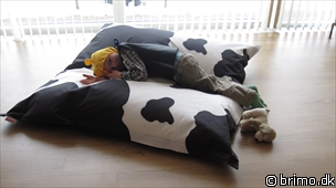 Miniature af billede nummer 1528