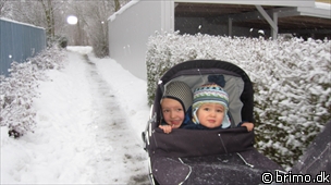 Miniature af billede nummer 1529