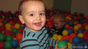 Miniature af billede nummer 1530